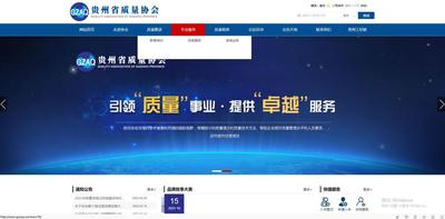 【质量】协会网站案例